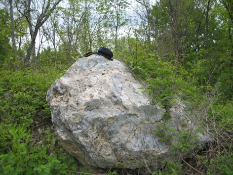 Крупномеры