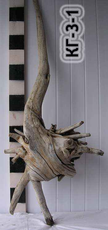 Корень для декора