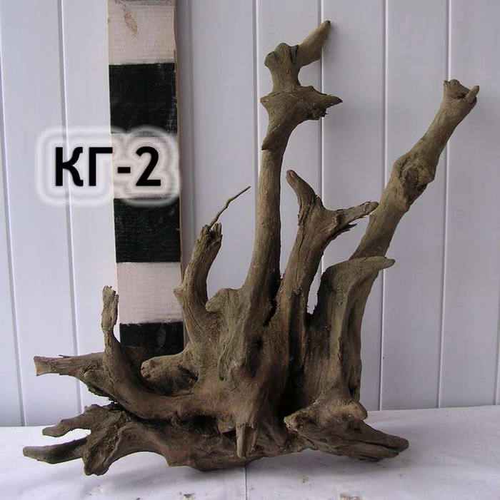 Корни для ландшафта