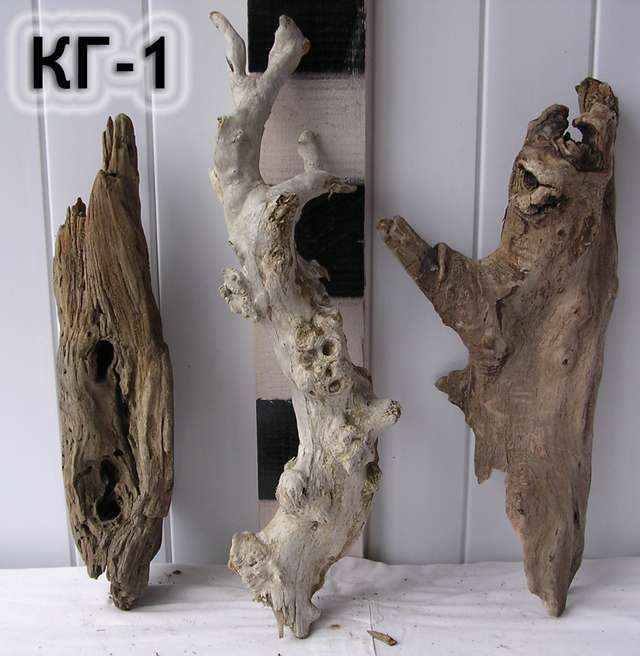 Корни с изгибами