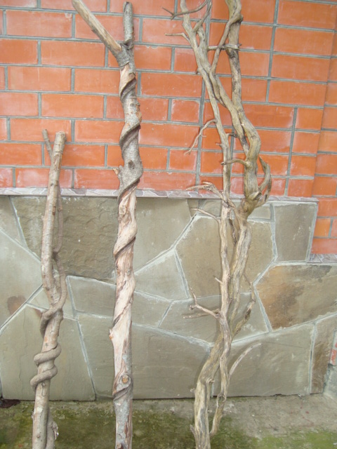 Натуральные крученые стволы