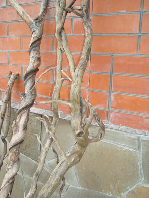 Крученые стволы из виноградной лозы