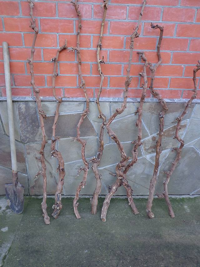 Ствол искусственного дерева из лозы