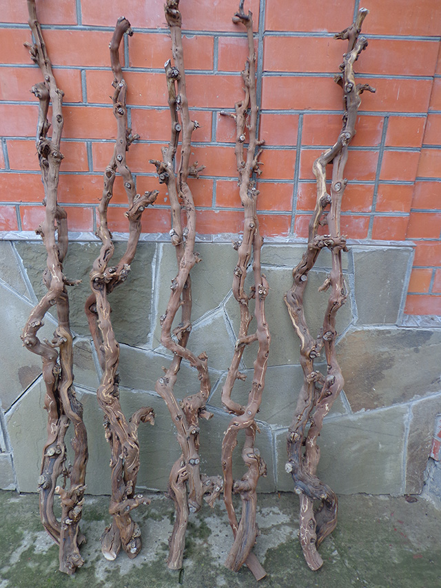 Лоза виноградная чищенная